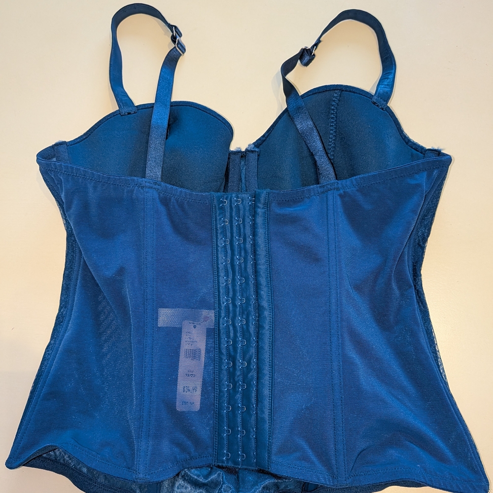 Brand New Cacique Lane Bryant Beaded Boned 18/20 2X Teal Underwire Bra Corset - Picture 2 of 6